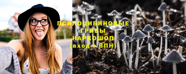 дживик Беломорск