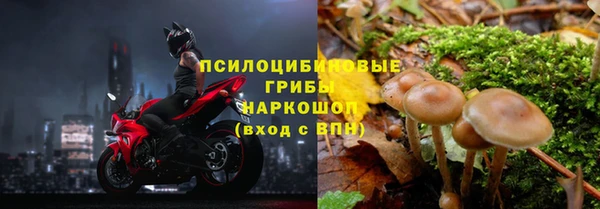 ПСИЛОЦИБИНОВЫЕ ГРИБЫ Балахна